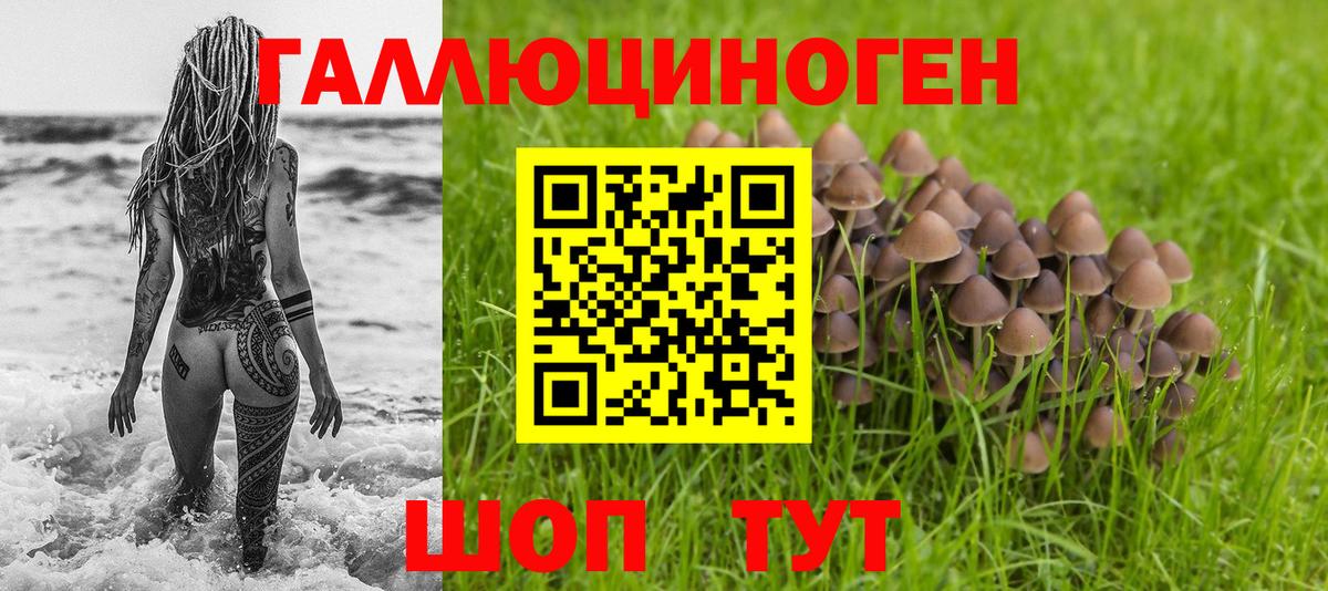 купить  сайты  Вход с VPN  Всеволожск  Галлюциногенные грибы GOLDEN TEACHER 